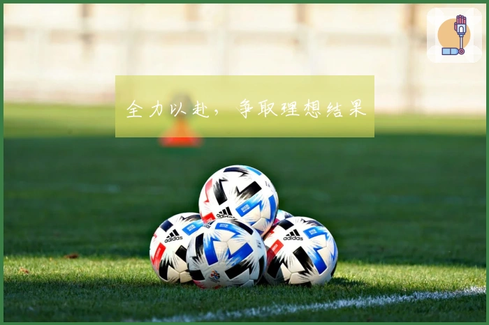 全力以赴，争取理想结果