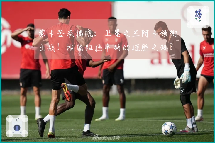 蒙卡签表揭晓：卫冕之王阿卡领衔出战！谁能阻挡辛纳的连胜之路？